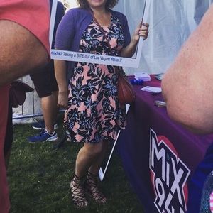 Karen Kane A line sleeveless dress. Stretch X/L